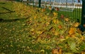 Children`s training football goals on the lawn of the football field are filled with leaves, which the storm blew here from the fo