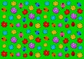 Children`s wallpaper with flowers and ladybirds