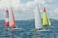 Children Sailing small catamiran sailboats with colourul sails Royalty Free Stock Photo