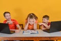 Children are schooled at home, two boys are sitting at a laptop, a girl is reading books