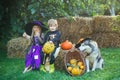 Children sister and brother with pumpkin dressed like skeleton and witch for Halloween party. Halloween on countryside Royalty Free Stock Photo