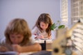 Children sitting at desk in school classroom and writing test. Royalty Free Stock Photo