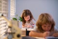Children sitting at desk in school classroom and writing test. Royalty Free Stock Photo