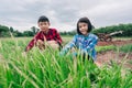 Children sitting in organic vegetables garden on sunny and sky background in rural or countryside Royalty Free Stock Photo