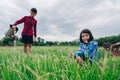 Children sitting in organic vegetables garden on sunny and sky background in rural or countryside Royalty Free Stock Photo