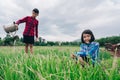 Children sitting in organic vegetables garden on sunny and sky background in rural or countryside Royalty Free Stock Photo