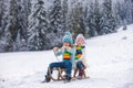 Children sledding, riding a sledge. Children son and daughter play in snow in winter. Outdoor kids fun for Christmas Royalty Free Stock Photo