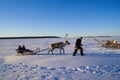 Children in sleigh pulled by reindeer.