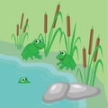 Funny frogs are swimming in the swamp.