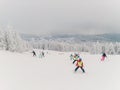 Children and some adults on the ski Royalty Free Stock Photo