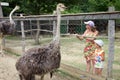 Children standing at the aviary with ostriches