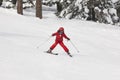 Children starting to learn how to ski. Winter sport