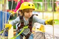 Children summer activities. High ropes walk. Every childhood matters. Happy little boy calling while climbing high tree Royalty Free Stock Photo