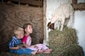 Children surprised by farm goat Royalty Free Stock Photo