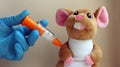 Children is syringe, hand in gloves and toy in the form of a Mouse. vaccination. The concept of medicine and immunity
