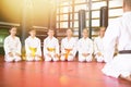 Children with their male instructor posing in karate class
