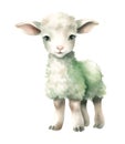 Children toy lamb, watercolor clipart illustration with isolated background