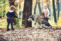 Children training dog in autumn forest. Children friends play with husky pet in woods