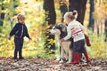 Children training dog in autumn forest. Little girl and boy friends play with husky pet in woods. Friendship and child