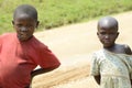 In strangers interested shy Children in Biwindi National Park, Uganda, Africa