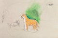 Children unfinished drawing - tigress with cubs