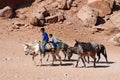 Children waits for tourists for donkey ride