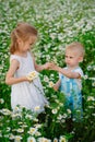 Children walk and collect chamomile flowers in the field. A boy and a girl stand in a meadow and look at the daisy flowers. Image Royalty Free Stock Photo