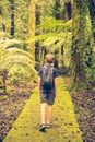 A children walk a way in forest Royalty Free Stock Photo