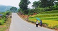 Children walking on rural road with terraced rice field in Phu Tho, northern Vietnam Royalty Free Stock Photo