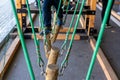 Children walking on trunks suspended by ropes in an adventure park Royalty Free Stock Photo