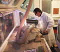 Children watch a scientist work