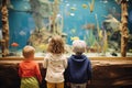 children watching fish at an aquarium Royalty Free Stock Photo