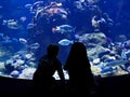 Children watching fish in a large Aquarium Royalty Free Stock Photo