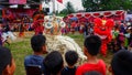 The children are watching the white lion dance in the field