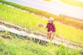 A children wear hat and walking on stair. A children hold flower and near the road. Royalty Free Stock Photo