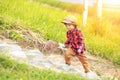 A children wear hat and walking on stair. A children hold flower and near the road. Royalty Free Stock Photo