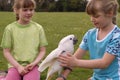 Children with a white cockatoo Royalty Free Stock Photo