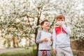 Children wipe their nose with napkins on the background of flowering Apple trees