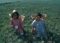 Kinderarbeit: Junge MÃÂ¤dchen helfen bei der Feldarbeit. Children-work: Young girls are working on the plantations