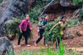 Children working in agriculture Vietnam Royalty Free Stock Photo