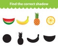 Children's educational game, find correct shadow silhouette. Fruit set the game to find the right shade. Vector illustration