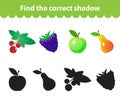 Children's educational game, find correct shadow silhouette. Fruit set the game to find the right shade. Vector illustration