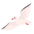 Children's flat vector illustration on white background. Cute flying seagull Royalty Free Stock Photo