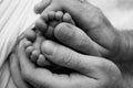 Children& x27;s foot in the hands of mother, father, parents. Feet of a tiny newborn close up. Little baby legs. Royalty Free Stock Photo