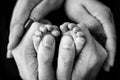 Children& x27;s foot in the hands of mother, father, parents. Feet of a tiny newborn Royalty Free Stock Photo