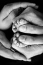 Children's foot in the hands of mother, father, parents. Feet of a tiny newborn close up. Royalty Free Stock Photo