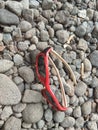 children's glasses, red frames with dark glass lying on small pebbles Royalty Free Stock Photo