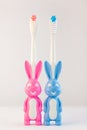 Children's toothbrushes in a form of cute bunnies on a white background isolated. Two rabbits with blank heart Royalty Free Stock Photo