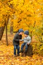 Children in yellow and gold autumn forest. Two little brothers on a wooden stump in fall park. Family walk outdoor. Friendly Royalty Free Stock Photo