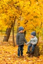 Children in yellow and gold autumn forest. Two little brothers on a wooden stump in fall park. Family walk outdoor. Friendly Royalty Free Stock Photo